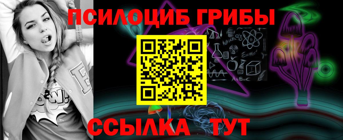 Майкоп  купить   Вход с VPN  Псилоцибиновые грибы Psilocybe 