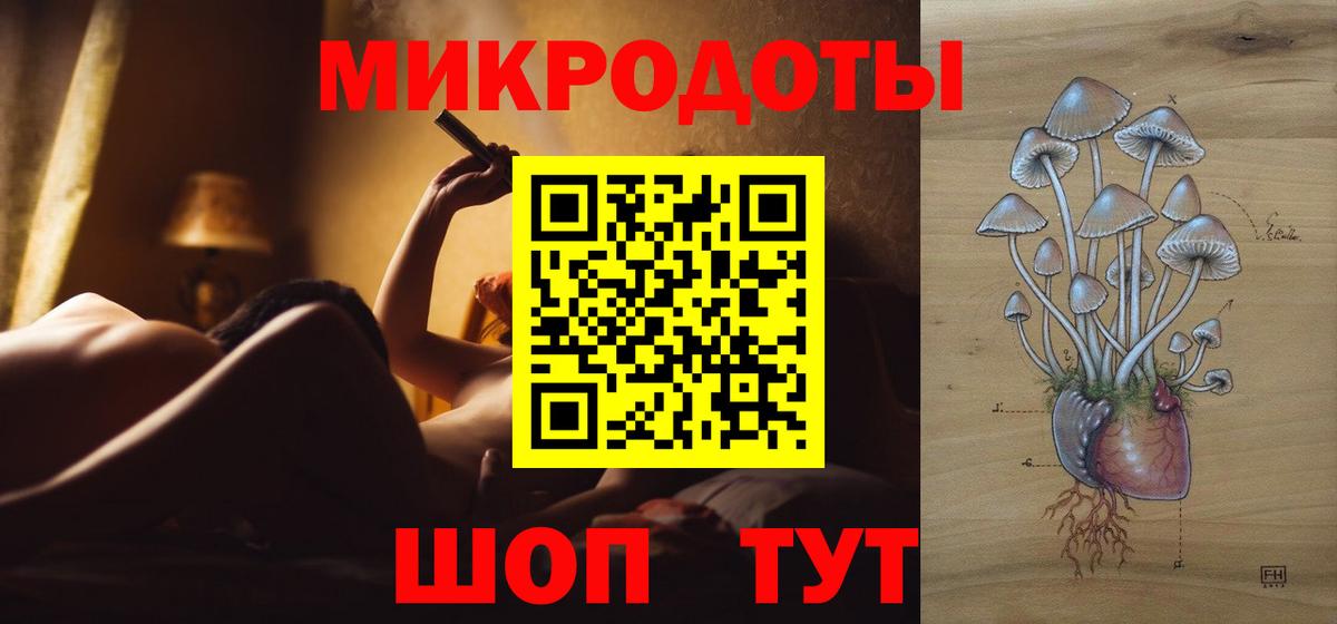 Галлюциногенные грибы Psilocybine cubensis Майкоп